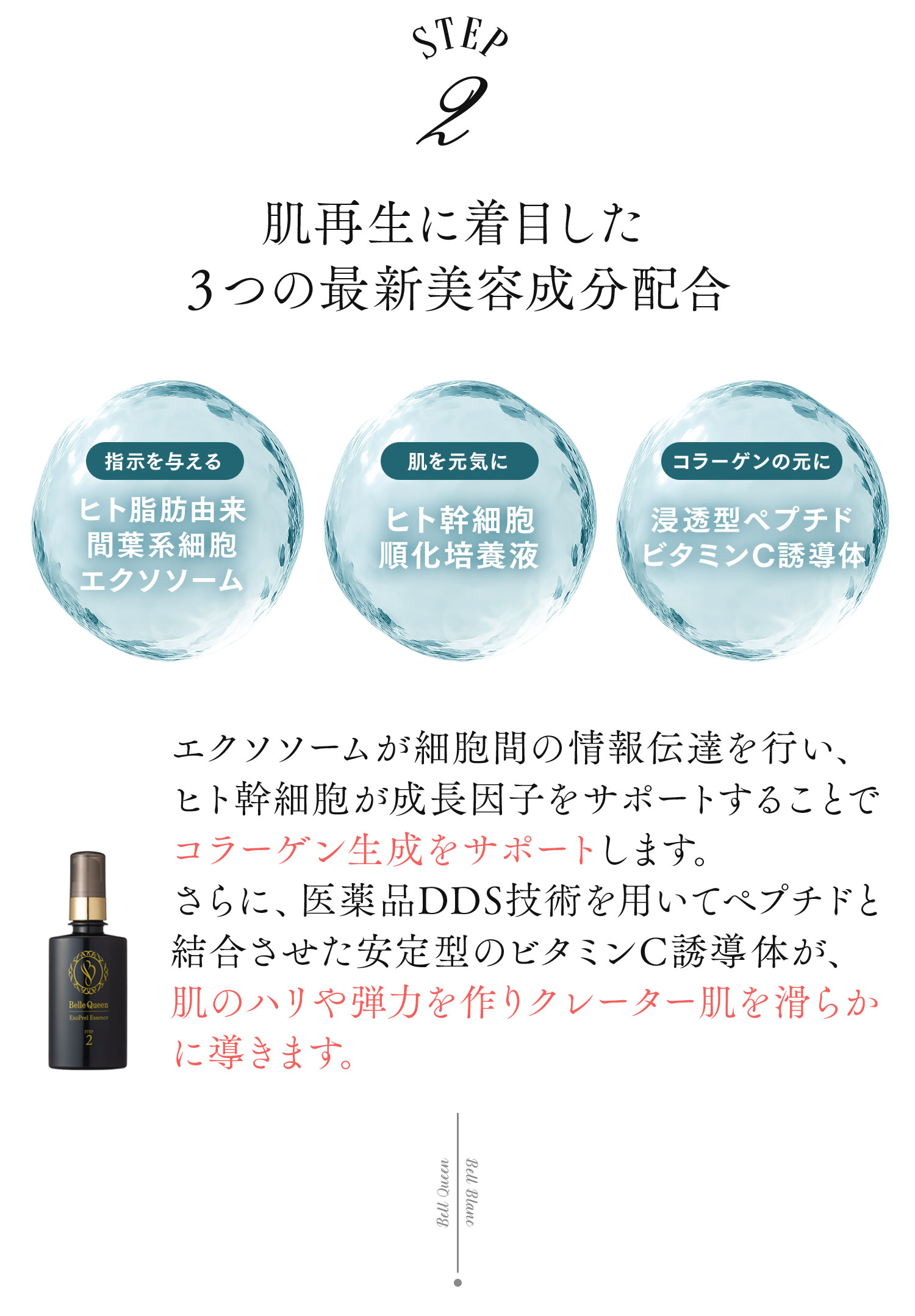 公式通販サイト】「ベルブランW+」＆「ベルクイーンエクソピール