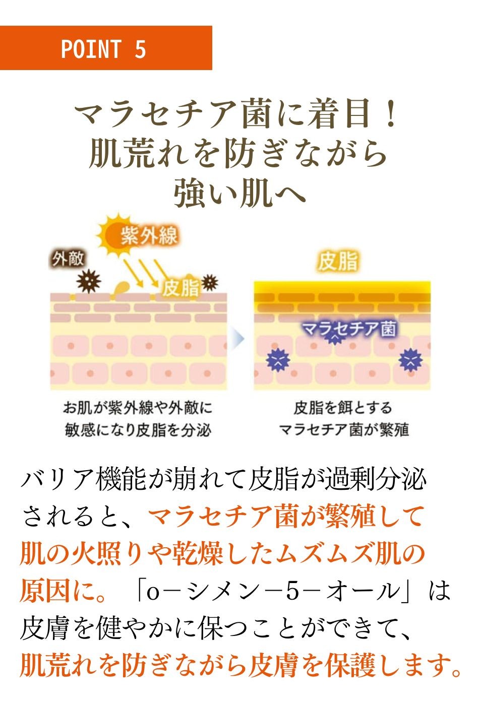 クレチュールお得セット 公式通販サイト】クレチュールシリーズ2点セット