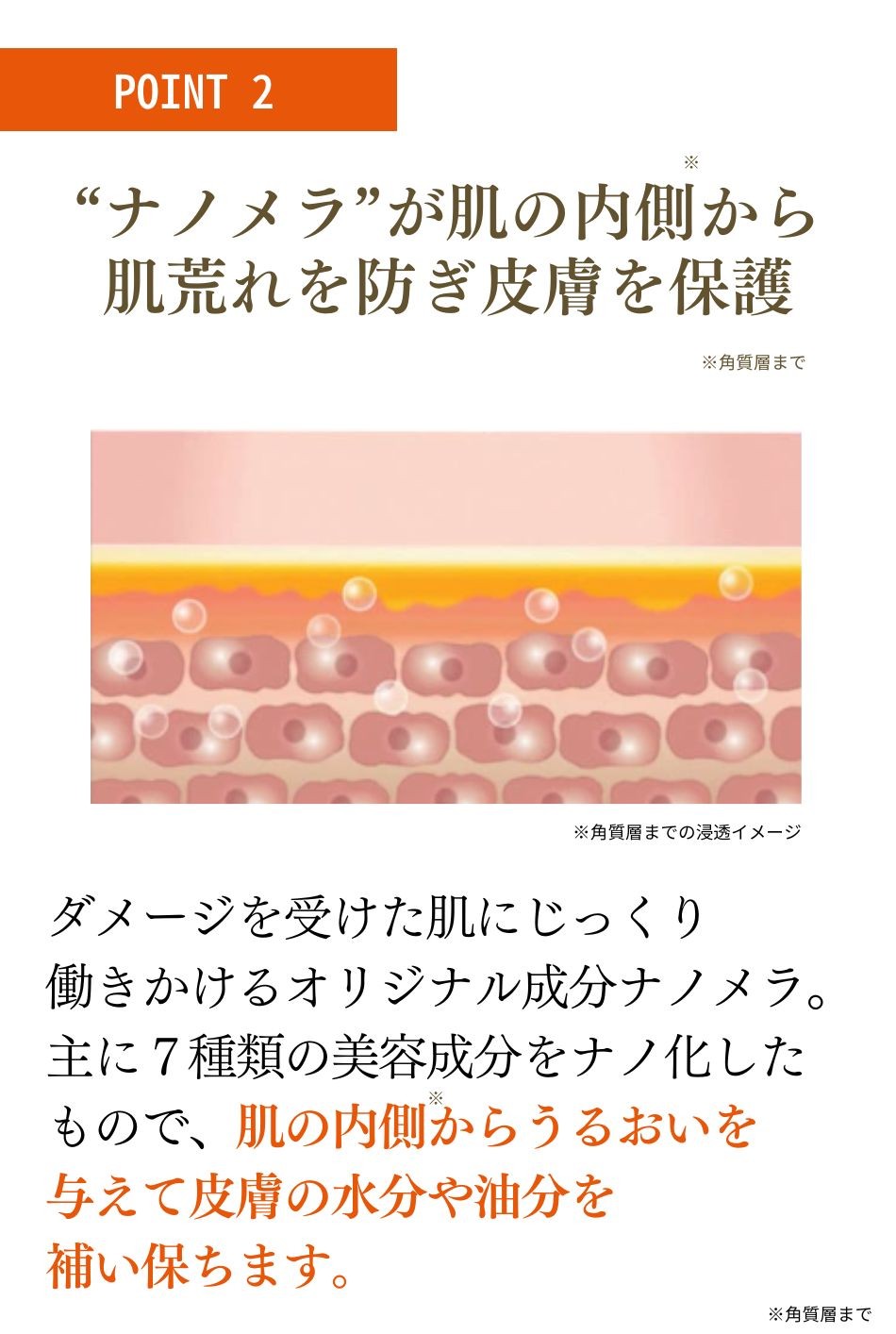 クレチュールお得セット 公式通販サイト】クレチュールシリーズ2点セット