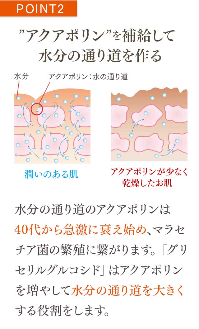 公式通販サイト】脂漏性敏感肌用クレチュールジュレローションEX